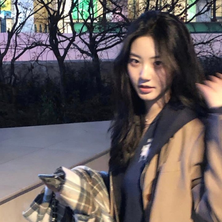 MOMENTARY LILY 刹那之花