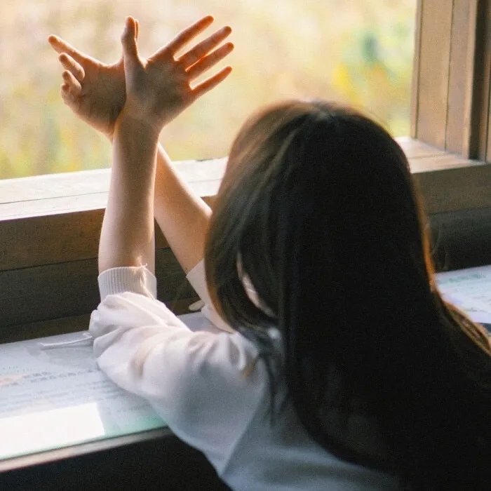 剧场版 银河机攻队：觉醒的基因